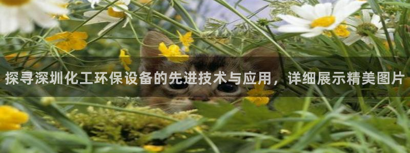 亿万先生手游下载：探寻深圳化工环保设备的先进技术与应用，详细展示精美图片