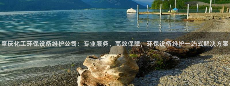 亿万网友在线实时为你解答：肇庆化工环保设备维护公司：专业服务、高效保障，环保设备维护一站式解决方案