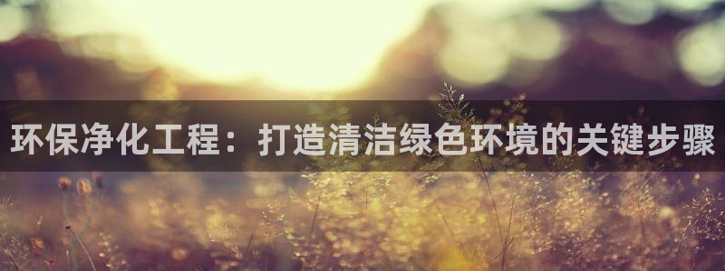 亿万小说免费阅读全文：环保净化工程：打造清洁绿色环境的关键步骤