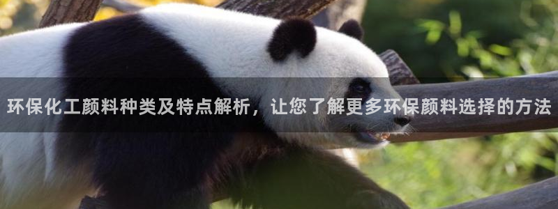 亿万先生手机网页：环保化工颜料种类及特点解析，让您了解更多环保颜料选择的方法
