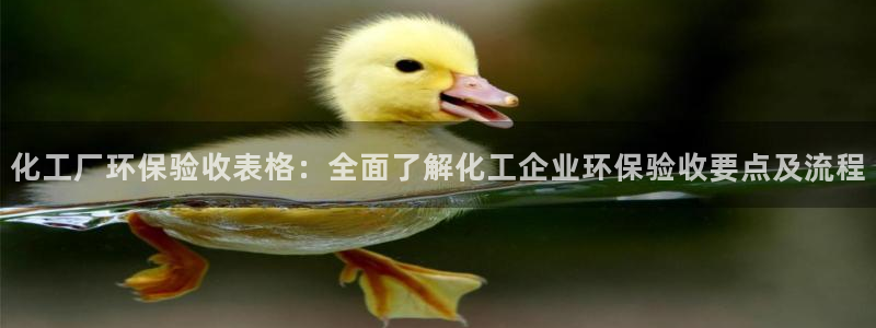 亿万官网手机登录：化工厂环保验收表格：全面了解化工企业环保验收要点及流程