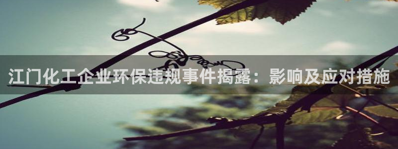 亿万乐购生活超市：江门化工企业环保违规事件揭露：影响及应对措施