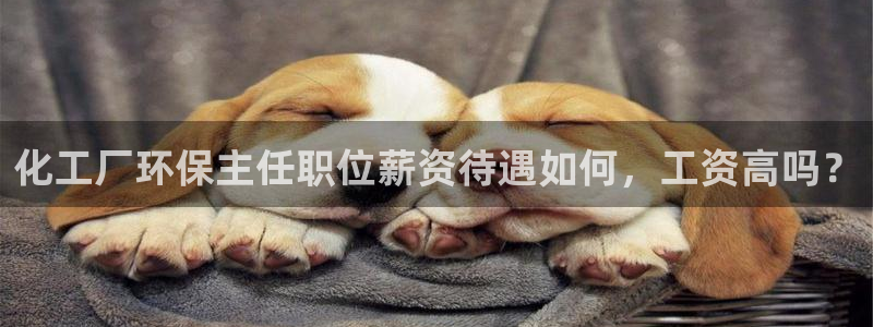 亿万先生 手机版下载安装：化工厂环保主任职位薪资待遇如何，工资高吗？