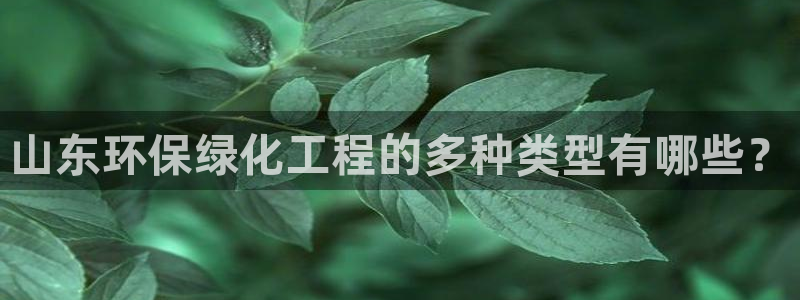 亿万番外：山东环保绿化工程的多种类型有哪些？