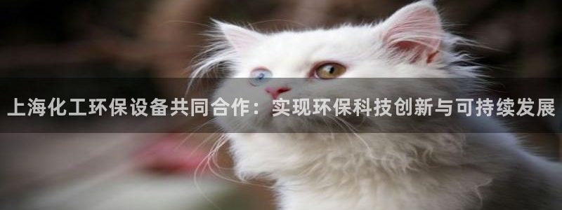 亿万手游官网网址：上海化工环保设备共同合作：实现环保科技创新与可持续发展