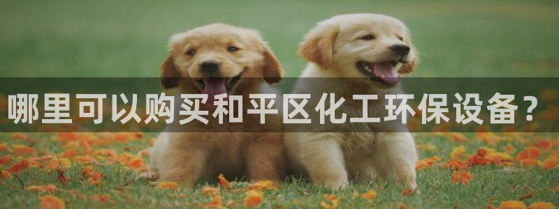 亿万先生mr07：哪里可以购买和平区化工环保设备？