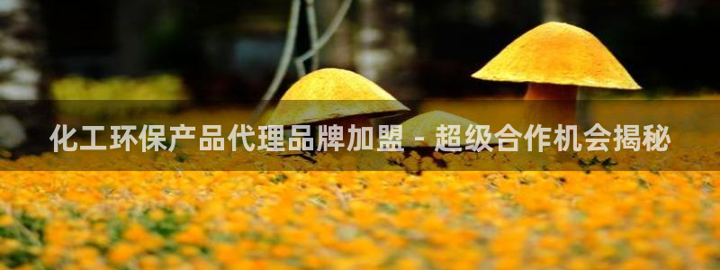 亿万先生用什么客户端：化工环保产品代理品牌加盟 - 超级合作机会揭秘