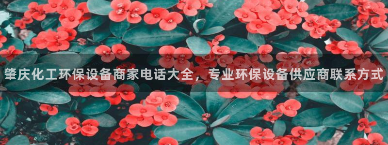 亿万财富网：肇庆化工环保设备商家电话大全，专业环保设备供应商联系方式