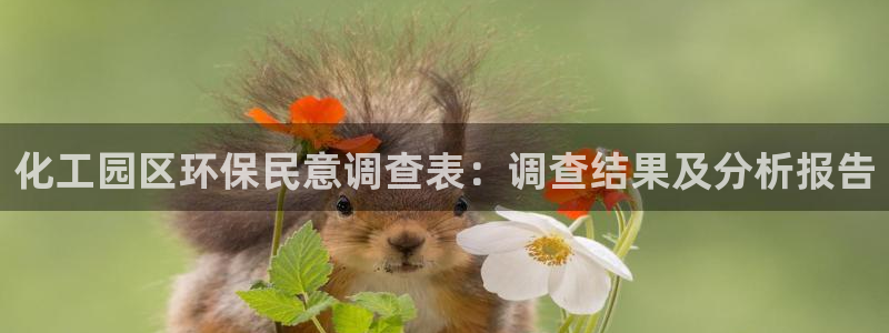 亿万billions：化工园区环保民意调查表：调查结果及分析报告