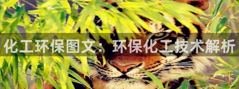 亿万第一季百科：化工环保图文：环保化工技术解析