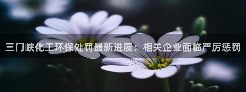 亿万先生网页版登录：三门峡化工环保处罚最新进展：相关企业面临严厉惩罚
