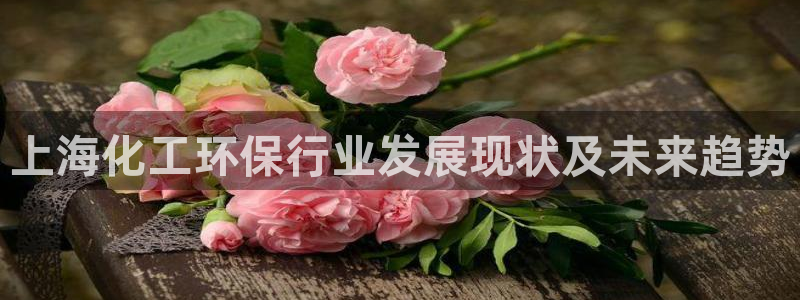 亿万28下载地址：上海化工环保行业发展现状及未来趋势