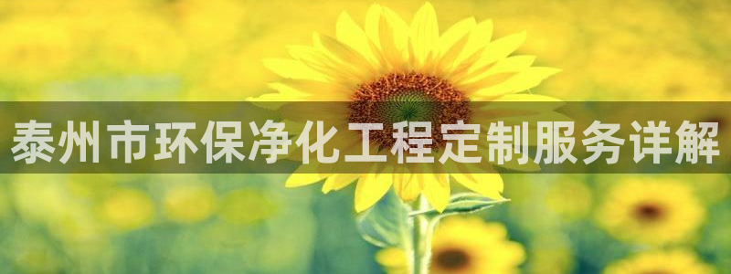 亿万先生合并网址在哪：泰州市环保净化工程定制服务详解