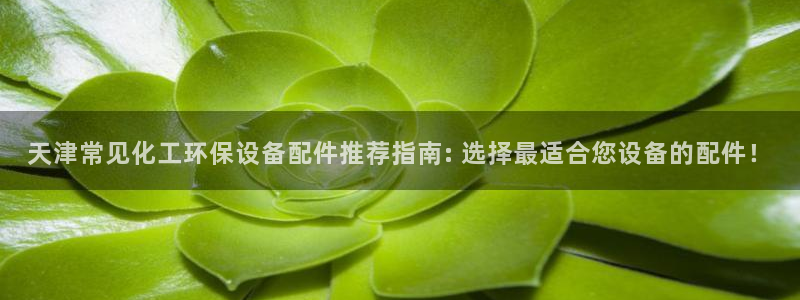 亿万先生MR - 亿万先生mr008cc：天津常见化工环保设备配件推荐指南: 选择最适合您设备的配件！