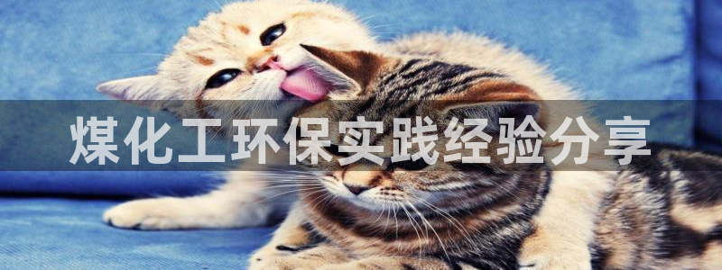 亿万先生手机客户端：煤化工环保实践经验分享