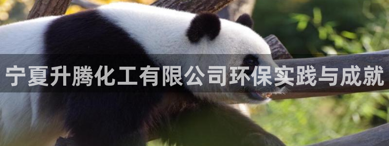 亿万小说免费阅读全文：宁夏升腾化工有限公司环保实践与成就