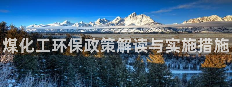 亿万网络科技有限公司ceo：煤化工环保政策解读与实施措施
