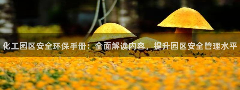 亿万同人字幕分享jogoduplo：化工园区安全环保手册：全面解读内容，提升园区安全管理水平