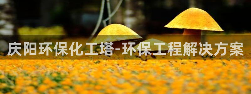 亿万国际：庆阳环保化工塔-环保工程解决方案