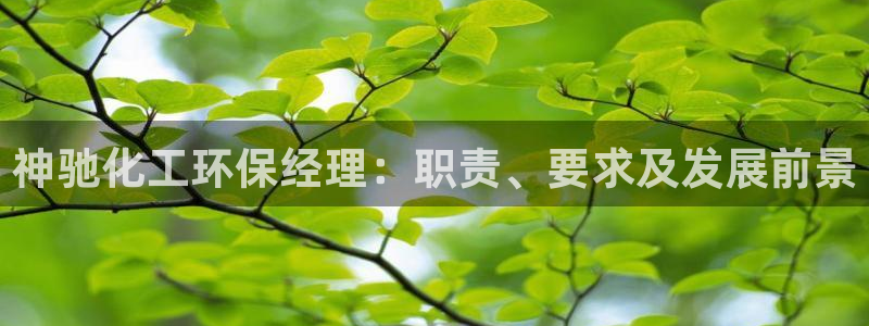 亿万先生手机版入口在哪：神驰化工环保经理：职责、要求及发展前景