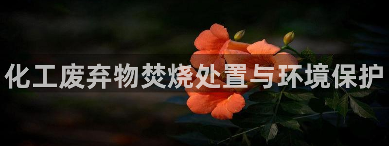 亿万先生官方网站客户端下载安装手机版：化工废弃物焚烧处置与环境保护