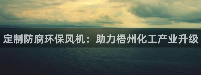 亿万购平台最新消息：定制防腐环保风机：助力梧州化工产业升级