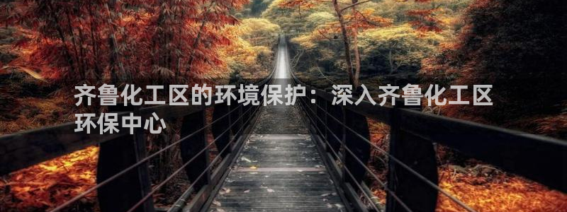 亿万先生用什么客户端：齐鲁化工区的环境保护：深入齐鲁化工区
环保中心