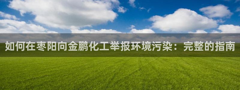 亿万先生合并：如何在枣阳向金鹏化工举报环境污染：完整的指南