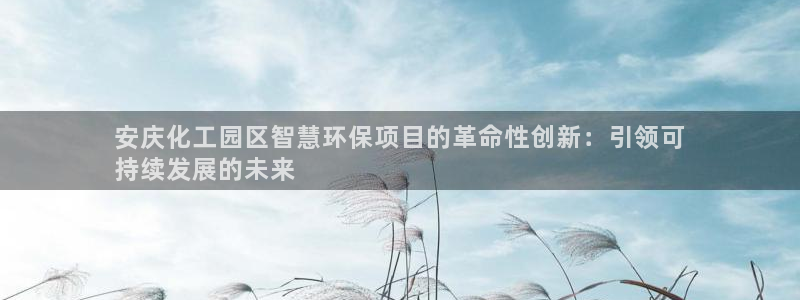 亿万先生网页在线客服：安庆化工园区智慧环保项目的革命性创新：引领可
持续发展的未来
