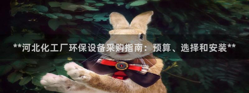 亿万国际app：**河北化工厂环保设备采购指南：预算、选择和安装**