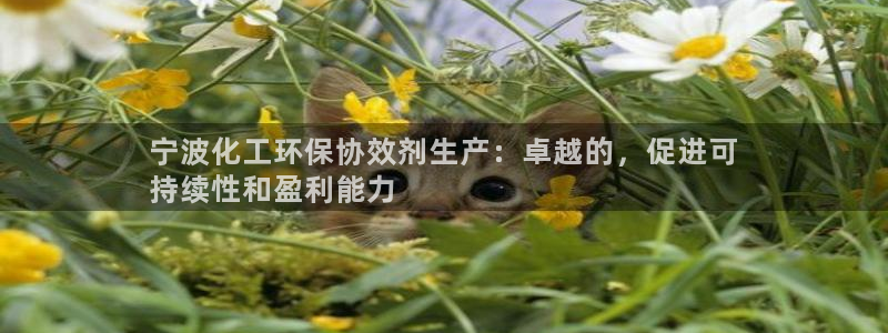 亿万先生客户端官网首页：宁波化工环保协效剂生产：卓越的，促进可
持续性和盈利能力