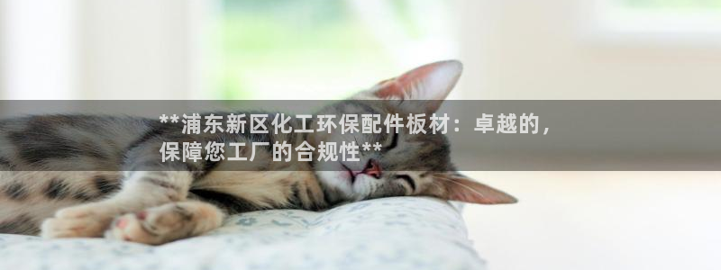 亿万国际合法吗：**浦东新区化工环保配件板材：卓越的，
保障您工厂的合规性**