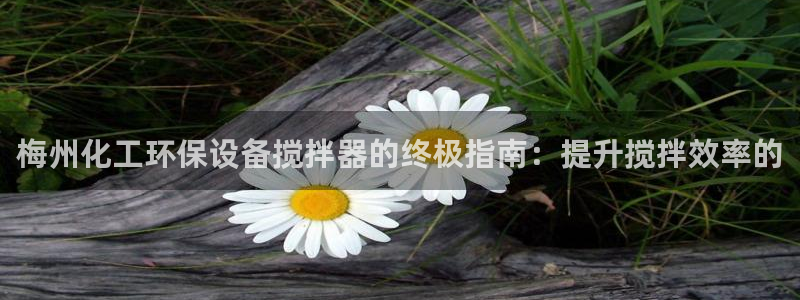 亿万同人字幕组的个人主页：梅州化工环保设备搅拌器的终极指南：提升搅拌效率的