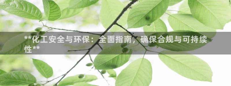 亿万手游平台官网：**化工安全与环保：全面指南，确保合规与可持续
性**