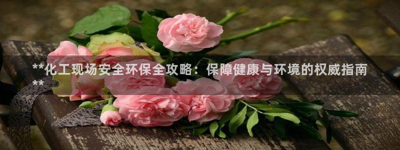 亿万同人字幕分享jogoduplo：**化工现场安全环保全攻略：保障健康与环境的权威指南
**