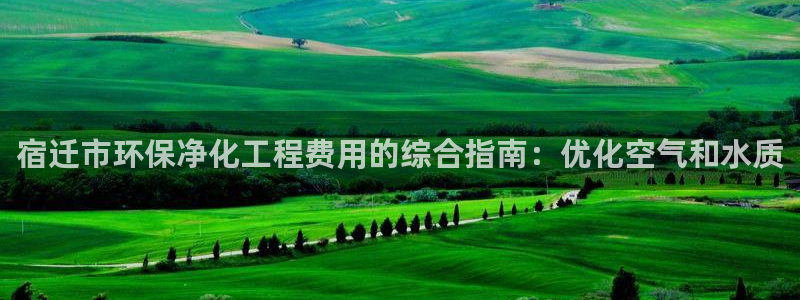 亿万手游平台官网下载：宿迁市环保净化工程费用的综合指南：优化空气和水质