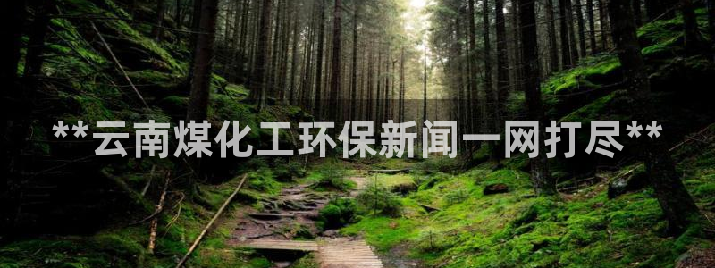 亿万先生007网页登录：**云南煤化工环保新闻一网打尽**
