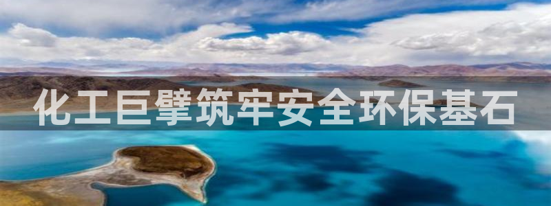 亿万网络：化工巨擘筑牢安全环保基石