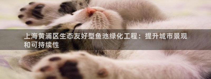 亿万贴吧：上海黄浦区生态友好型鱼池绿化工程：提升城市景观
和可持续性