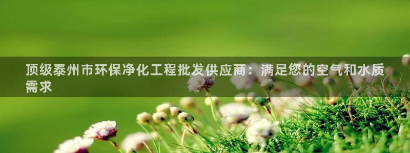 亿万app：顶级泰州市环保净化工程批发供应商：满足您的空气和水质
需求