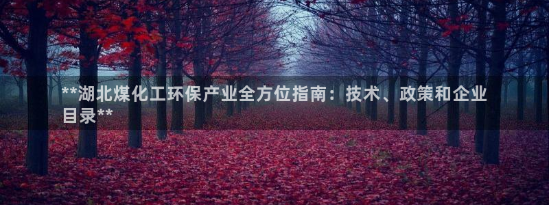 亿万先生mr008cc官网：**湖北煤化工环保产业全方位指南：技术、政策和企业
目录**