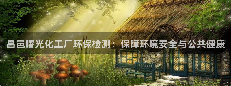 mr001亿万先生：昌邑曙光化工厂环保检测：保障环境安全与公共健康
