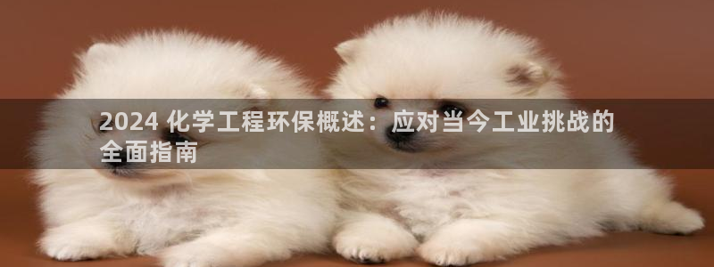 亿万先生官方客服：2024 化学工程环保概述：应对当今工业挑战的
全面指南