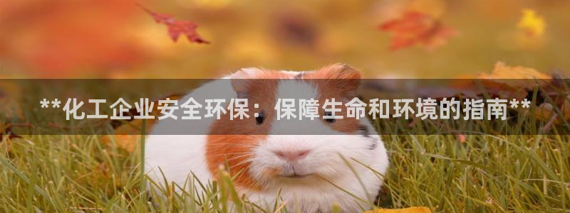 亿万先生网页版下载：**化工企业安全环保：保障生命和环境的指南**