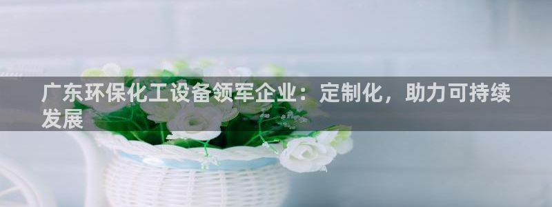 亿万剧情简介：广东环保化工设备领军企业：定制化，助力可持续
发展