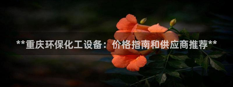 亿万讲什么：**重庆环保化工设备：价格指南和供应商推荐**