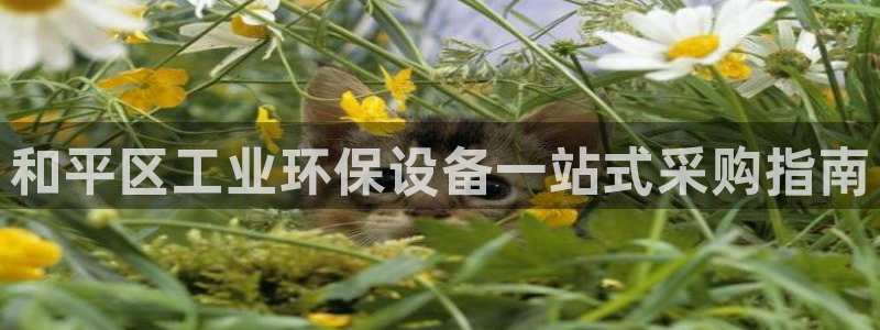 亿万先生换网址了吗知乎：和平区工业环保设备一站式采购指南