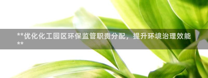 亿万乐购生活超市：**优化化工园区环保监管职责分配，提升环境治理效能
**