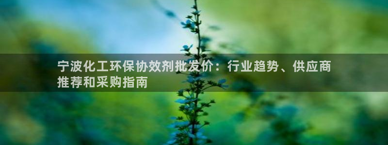 亿万乐购生活超市：宁波化工环保协效剂批发价：行业趋势、供应商
推荐和采购指南