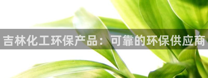 亿万城市手游：吉林化工环保产品：可靠的环保供应商